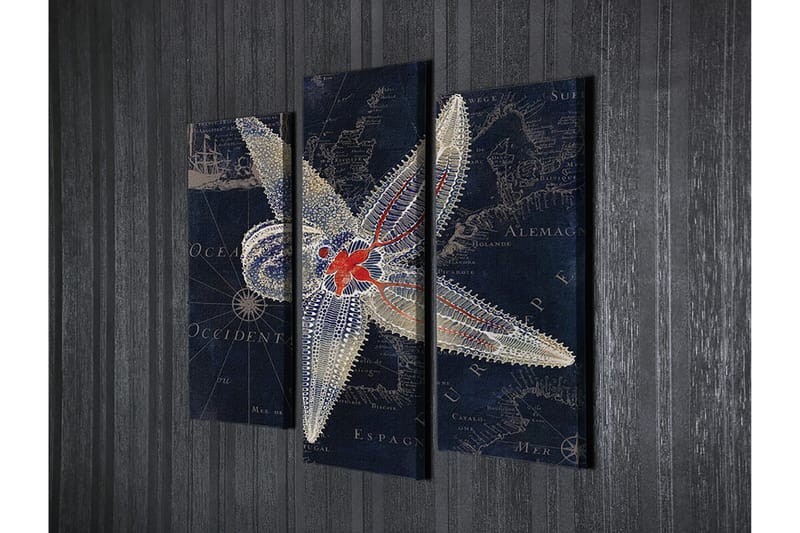 Dekorativ Canvasbilde 3-Deler 45x20 cm - Flerfarget - Interiør - Maleri & posters - Lerretsbilder