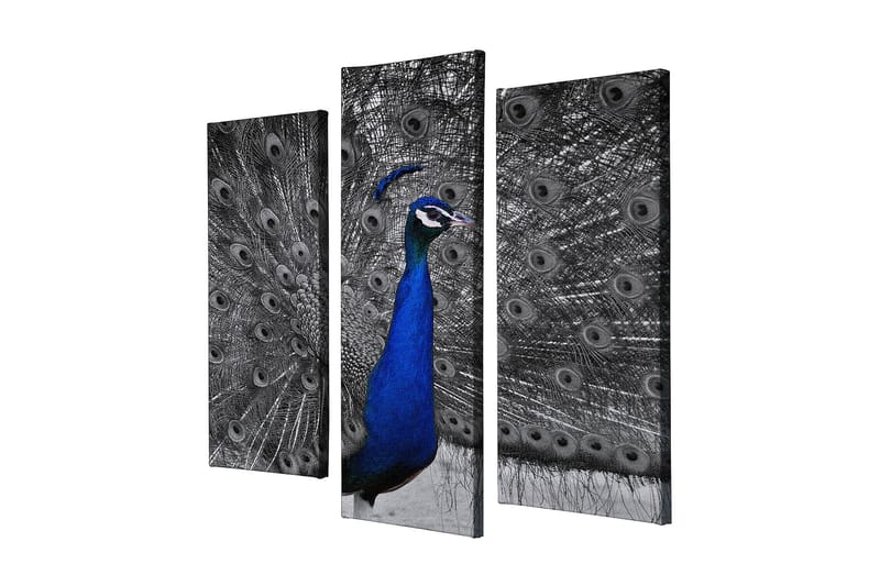 Dekorativ Canvasbilde 3-Deler 45x20 cm - Flerfarget - Interiør - Maleri & posters - Lerretsbilder