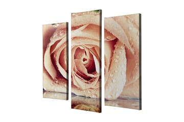 Dekorativ Canvasbilde 3-Deler 45x20 cm - Flerfarget - Interiør - Maleri & posters - Lerretsbilder
