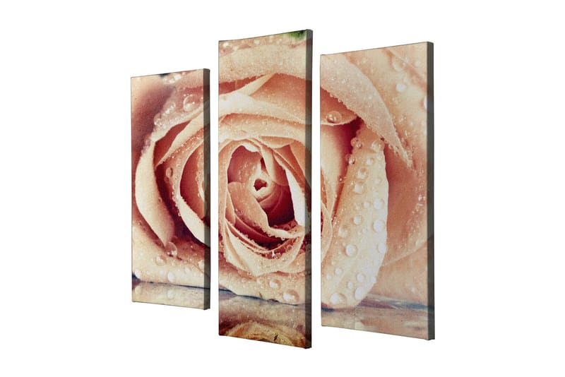 Dekorativ Canvasbilde 3-Deler 45x20 cm - Flerfarget - Interiør - Maleri & posters - Lerretsbilder