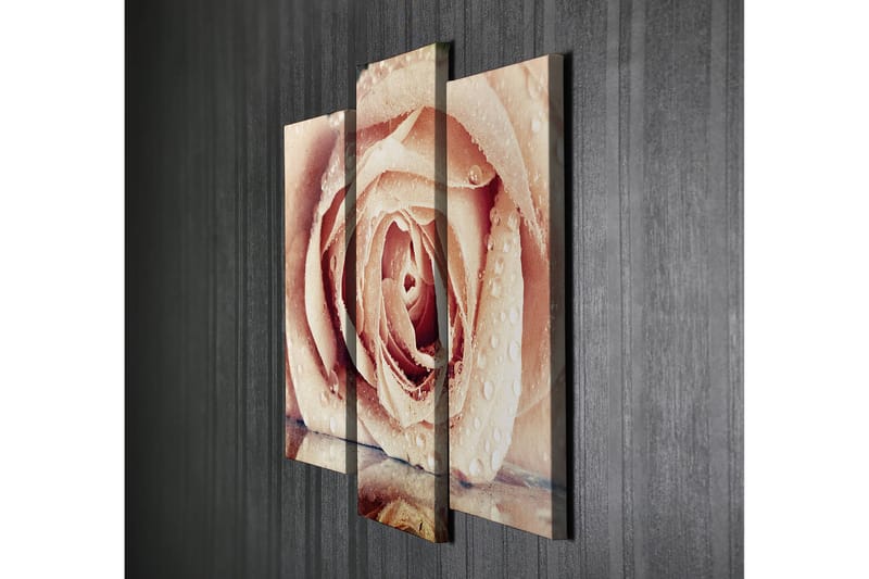 Dekorativ Canvasbilde 3-Deler 45x20 cm - Flerfarget - Interiør - Maleri & posters - Lerretsbilder