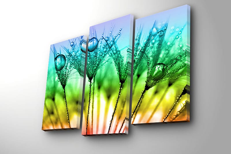 Dekorativ Canvasbilde 3-Deler 45x20 cm - Flerfarget - Interiør - Maleri & posters - Lerretsbilder