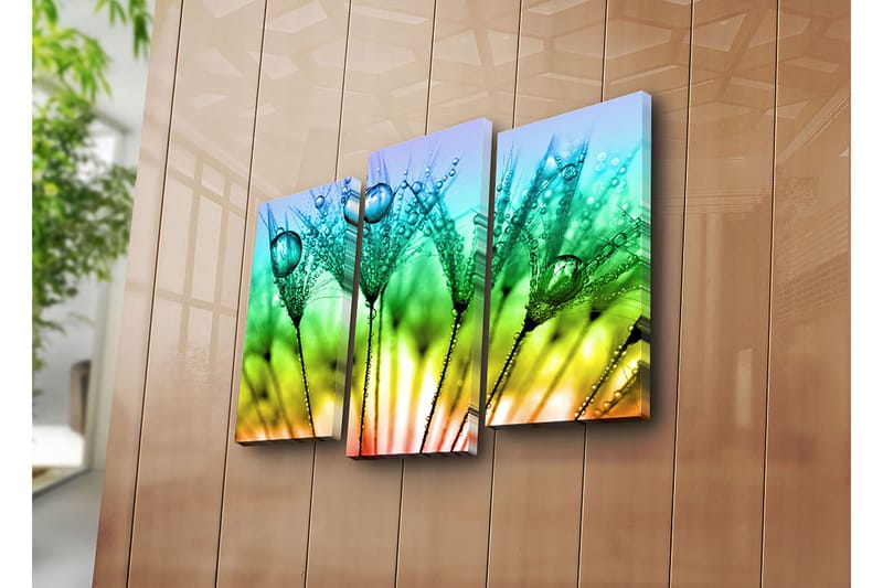 Dekorativ Canvasbilde 3-Deler 45x20 cm - Flerfarget - Interiør - Maleri & posters - Lerretsbilder