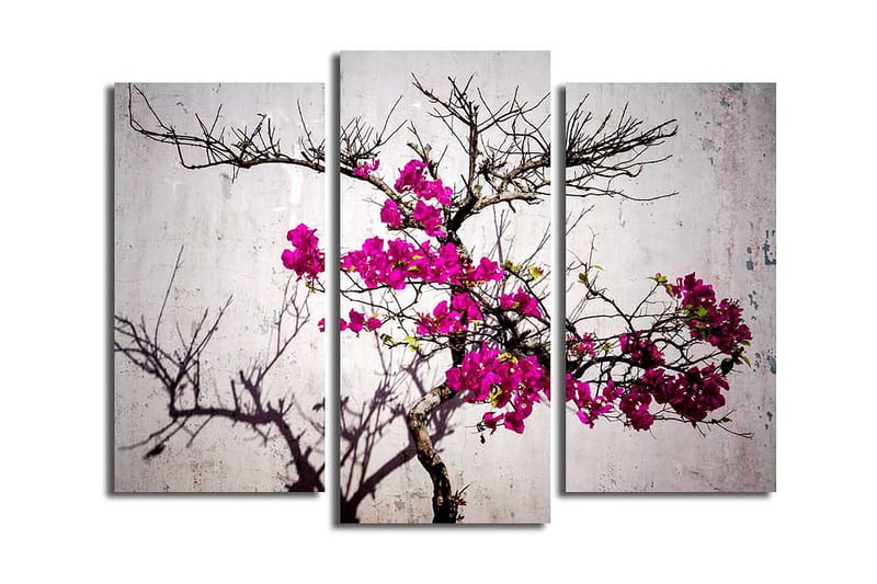Dekorativ Canvasbilde 3-Deler 45x20 cm - Flerfarget - Interiør - Maleri & posters - Lerretsbilder