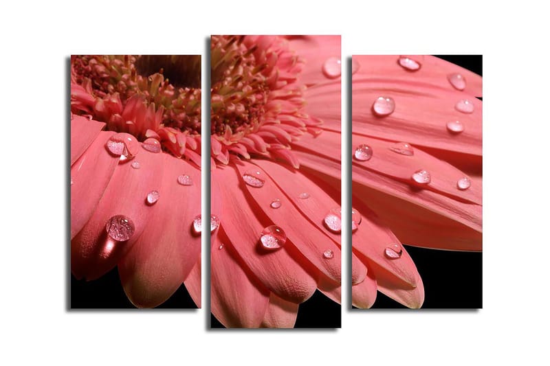 Dekorativ Canvasbilde 3-Deler 45x20 cm - Flerfarget - Interiør - Maleri & posters - Lerretsbilder