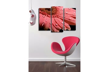 Dekorativ Canvasbilde 3-Deler 45x20 cm - Flerfarget - Interiør - Maleri & posters - Lerretsbilder