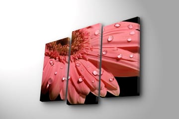 Dekorativ Canvasbilde 3-Deler 45x20 cm - Flerfarget - Interiør - Maleri & posters - Lerretsbilder