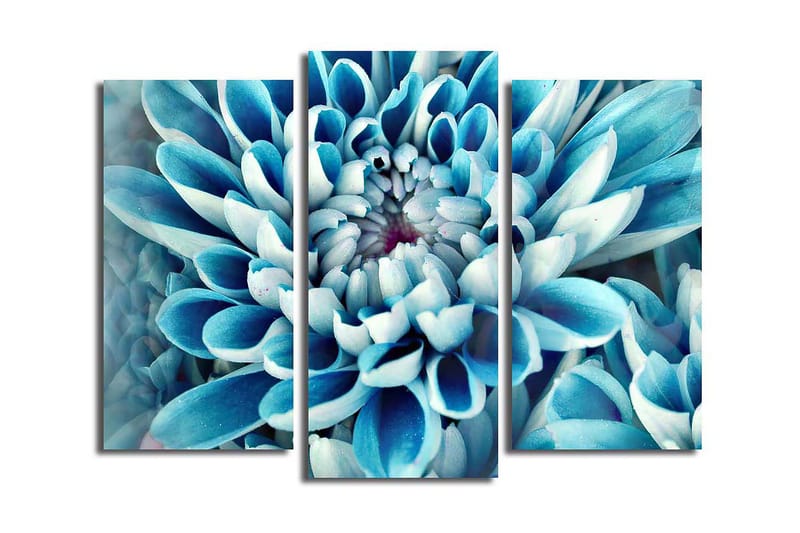Dekorativ Canvasbilde 3-Deler 45x20 cm - Flerfarget - Interiør - Maleri & posters - Lerretsbilder