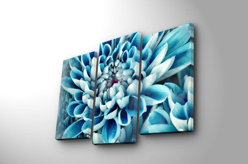 Dekorativ Canvasbilde 3-Deler 45x20 cm - Flerfarget - Interiør - Maleri & posters - Lerretsbilder