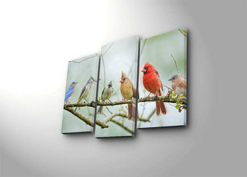 Dekorativ Canvasbilde 3-Deler 45x20 cm - Flerfarget - Interiør - Maleri & posters - Lerretsbilder