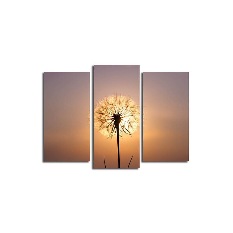 Dekorativ Canvasbilde 3-Deler 45x20 cm - Flerfarget - Interiør - Maleri & posters - Lerretsbilder
