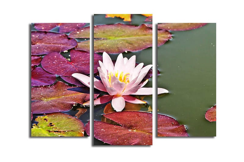 Dekorativ Canvasbilde 3-Deler 45x20 cm, Flerfarget