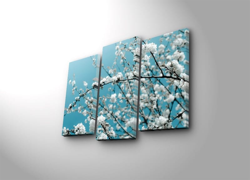 Dekorativ Canvasbilde 3-Deler 45x20 cm, Flerfarget