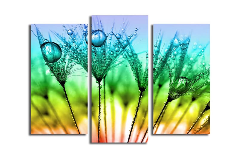 Dekorativ Canvasbilde 3-Deler 45x20 cm, Flerfarget
