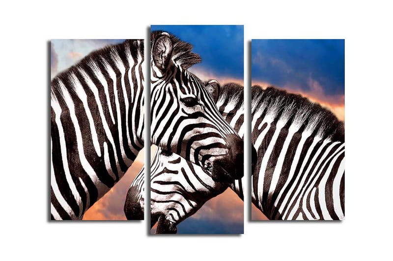 Dekorativ Canvasbilde 3-Deler 45x20 cm, Flerfarget