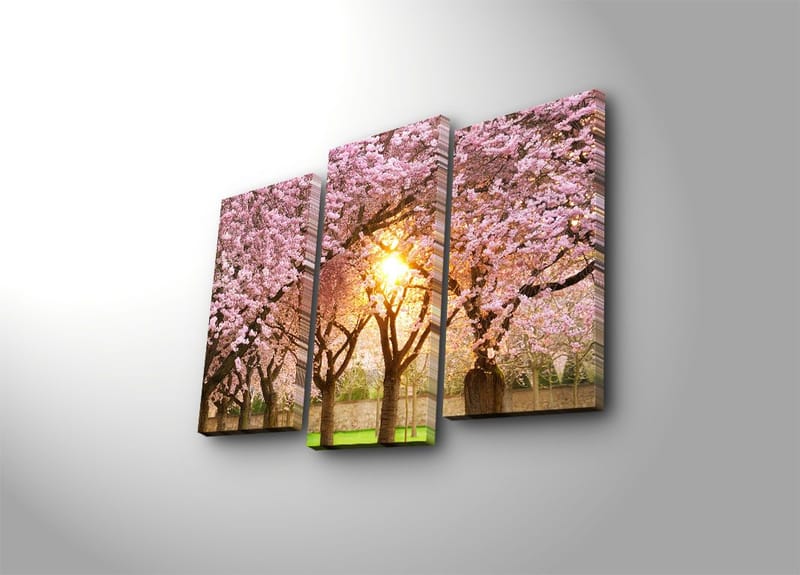 Dekorativ Canvasbilde 3-Deler 45x20 cm, Flerfarget