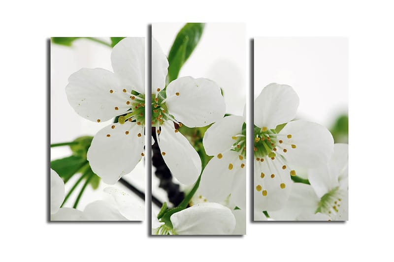 Dekorativ Canvasbilde 3-Deler 45x20 cm, Flerfarget