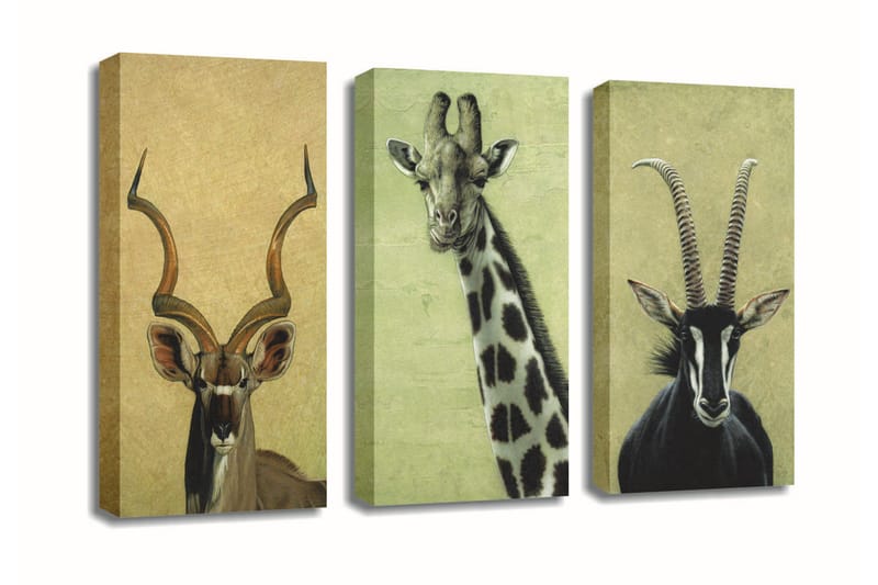 Dekorativ Canvasbilde 3 Deler - Flerfarget - Interiør - Maleri & posters - Lerretsbilder