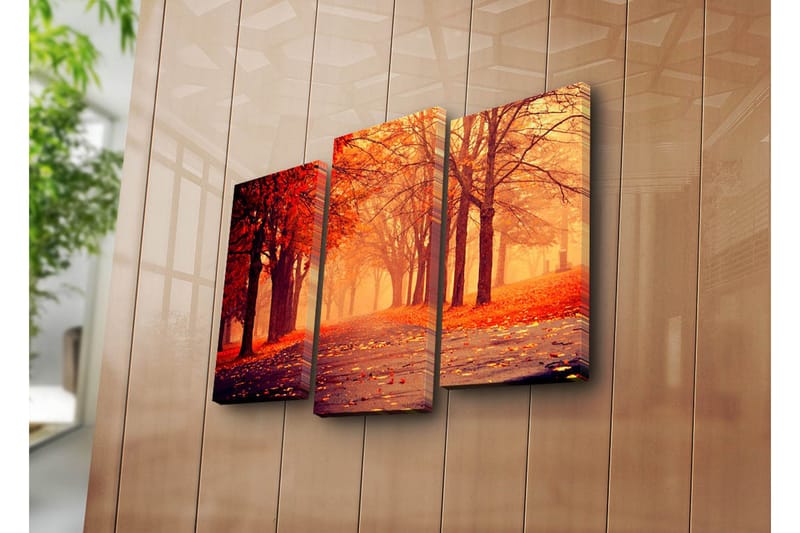 Dekorativ Canvasbilde 3 Deler - Flerfarget - Interiør - Maleri & posters - Lerretsbilder