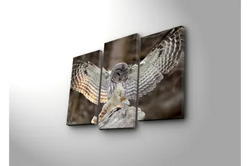 Dekorativ Canvasbilde 3 Deler - Flerfarget - Interiør - Maleri & posters - Lerretsbilder