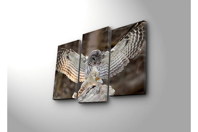 Dekorativ Canvasbilde 3 Deler - Flerfarget - Interiør - Maleri & posters - Lerretsbilder