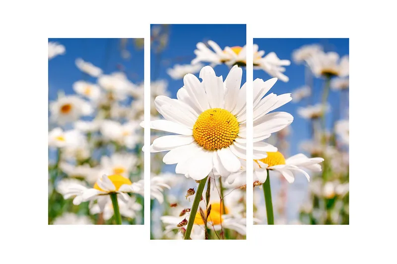 Dekorativ Canvasbilde 3 Deler - Flerfarget - Interiør - Maleri & posters - Lerretsbilder