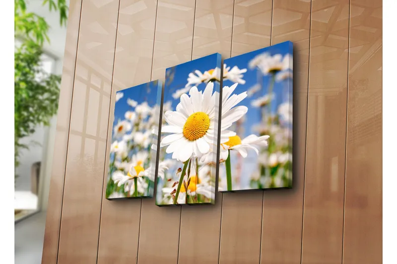 Dekorativ Canvasbilde 3 Deler - Flerfarget - Interiør - Maleri & posters - Lerretsbilder