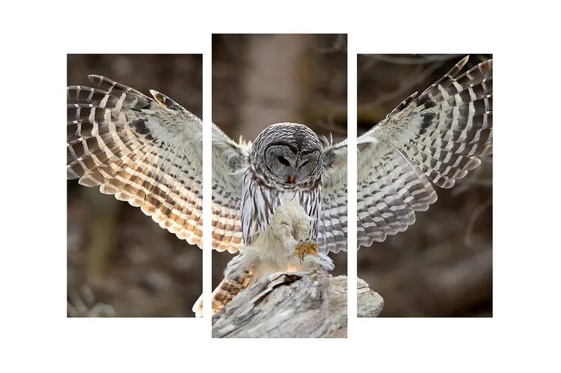 Dekorativ Canvasbilde 3 Deler - Flerfarget - Interiør - Maleri & posters - Lerretsbilder