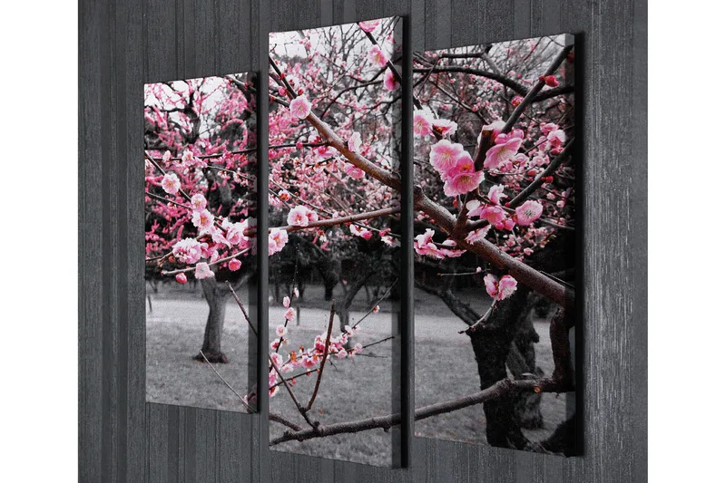 Dekorativ Canvasbilde 3 Deler - Flerfarget - Interiør - Maleri & posters - Lerretsbilder