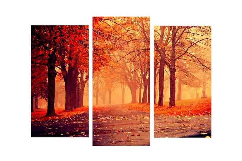 Dekorativ Canvasbilde 3 Deler - Flerfarget - Interiør - Maleri & posters - Lerretsbilder