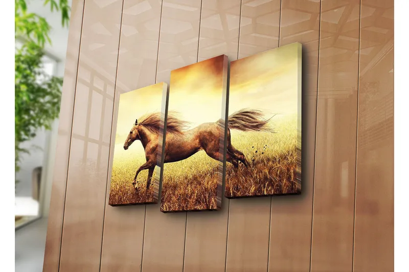 Dekorativ Canvasbilde 3 Deler - Flerfarget - Interiør - Maleri & posters - Lerretsbilder