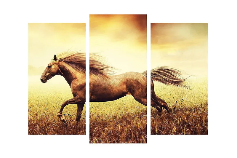 Dekorativ Canvasbilde 3 Deler - Flerfarget - Interiør - Maleri & posters - Lerretsbilder