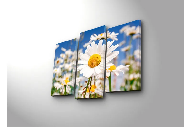 Dekorativ Canvasbilde 3 Deler - Flerfarget - Interiør - Maleri & posters - Lerretsbilder