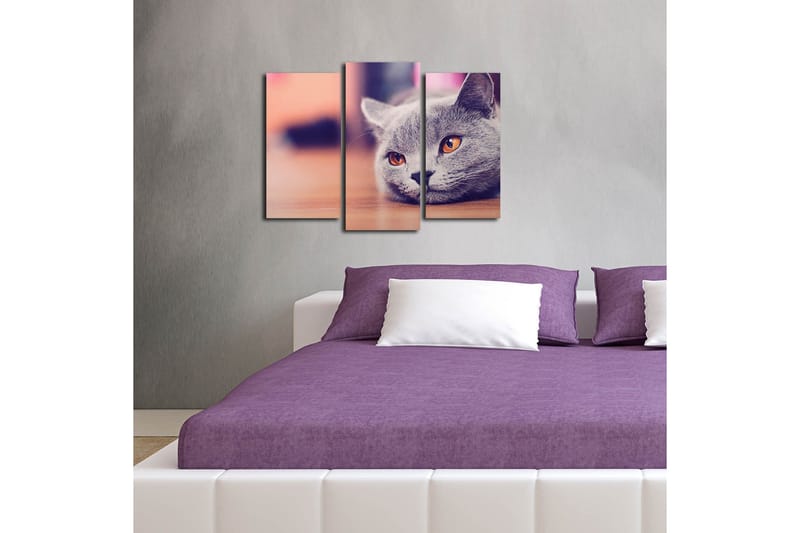Dekorativ Canvasbilde 3 Deler - Flerfarget - Interiør - Maleri & posters - Lerretsbilder