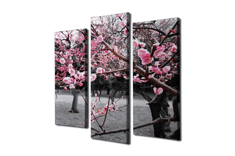 Dekorativ Canvasbilde 3 Deler - Flerfarget - Interiør - Maleri & posters - Lerretsbilder