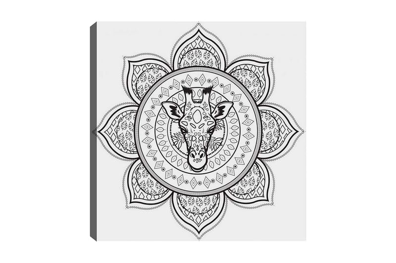 Dekorativ Canvasbilde 30x30 cm - Hvit|Svart - Interiør - Maleri & posters - Lerretsbilder