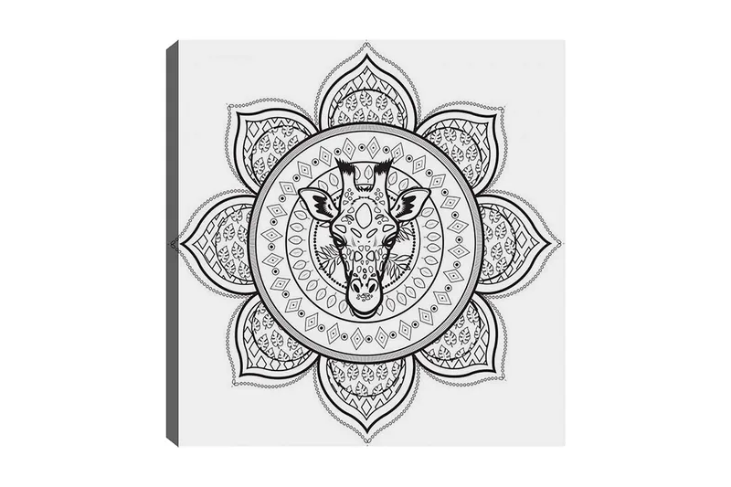 Dekorativ Canvasbilde 30x30 cm, Hvit|Svart