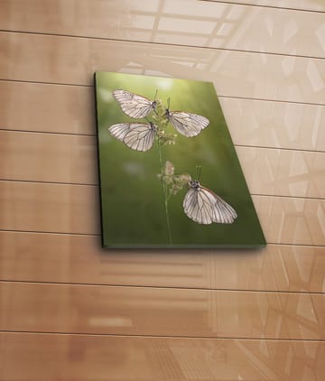 Dekorativ Canvasbilde 30x40 cm - Flerfarget - Interiør - Maleri & posters - Lerretsbilder