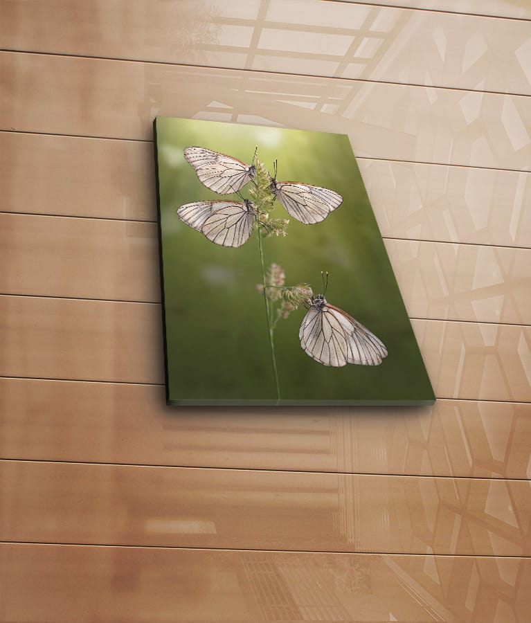 Dekorativ Canvasbilde 30x40 cm - Flerfarget - Interiør - Maleri & posters - Lerretsbilder
