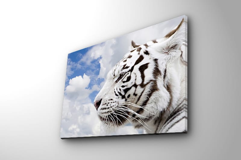 Dekorativ Canvasbilde 30x40 cm - Flerfarget - Interiør - Maleri & posters - Lerretsbilder