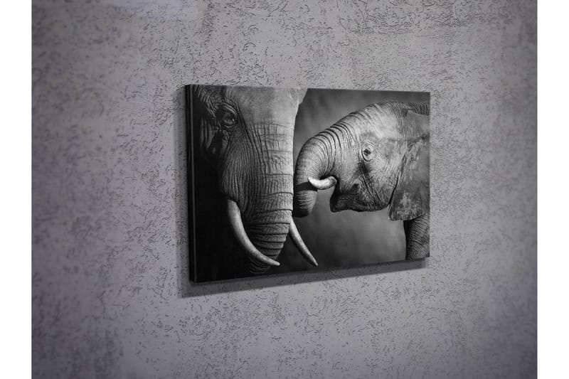 Dekorativ Canvasbilde 30x40 cm - Flerfarget - Interiør - Maleri & posters - Lerretsbilder
