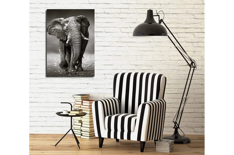 Dekorativ Canvasbilde 30x40 cm, Flerfarget