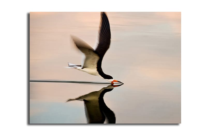 Dekorativ Canvasbilde 30x40 cm, Flerfarget