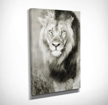 Dekorativ Canvasbilde 30x40 cm - Flerfarget - Interiør - Maleri & posters - Lerretsbilder