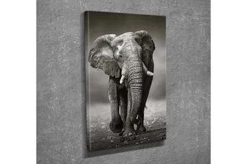 Dekorativ Canvasbilde 30x40 cm - Flerfarget - Interiør - Maleri & posters - Lerretsbilder