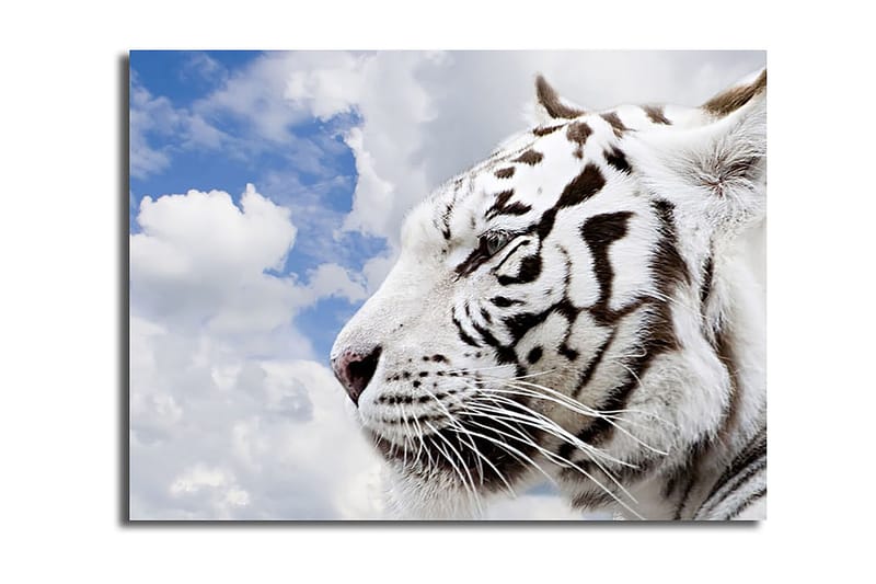 Dekorativ Canvasbilde 30x40 cm, Flerfarget