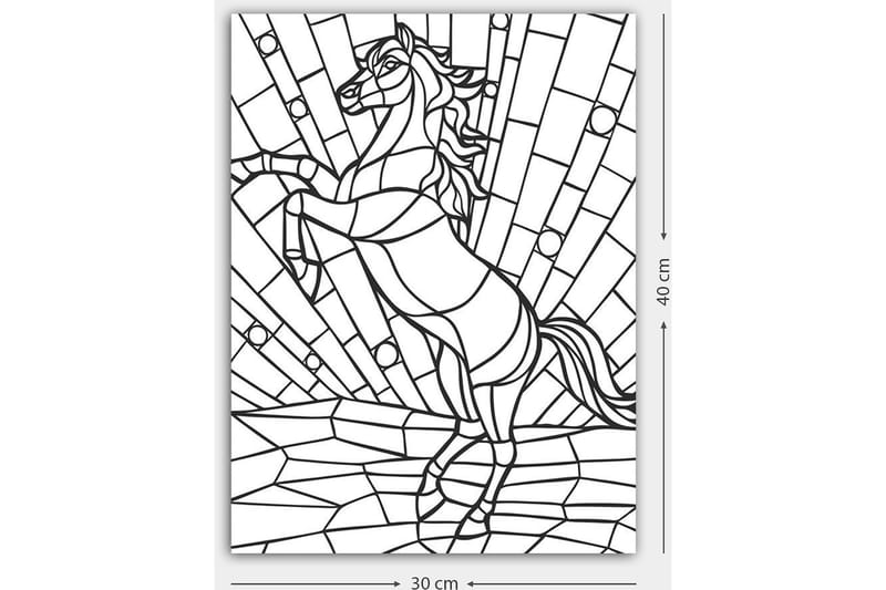 Dekorativ Canvasbilde 30x40 cm - Hvit|Svart - Interiør - Maleri & posters - Lerretsbilder