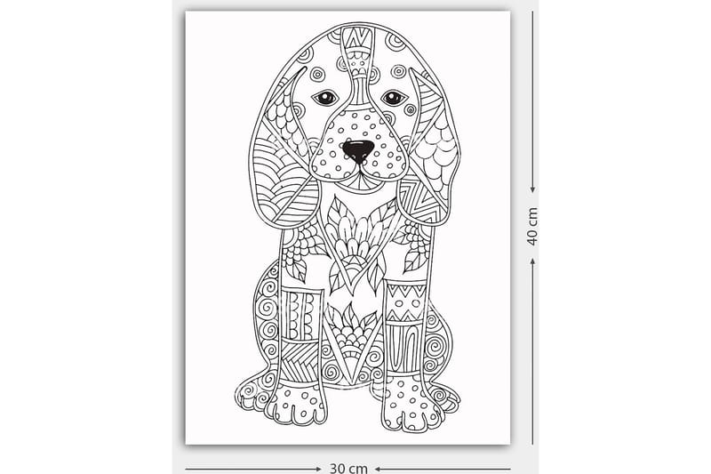 Dekorativ Canvasbilde 30x40 cm - Hvit|Svart - Interiør - Maleri & posters - Lerretsbilder