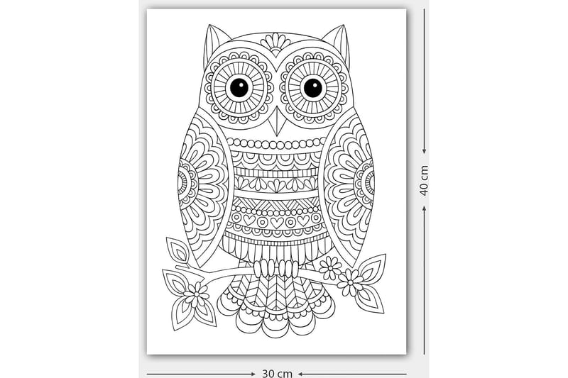 Dekorativ Canvasbilde 30x40 cm - Hvit|Svart - Interiør - Maleri & posters - Lerretsbilder