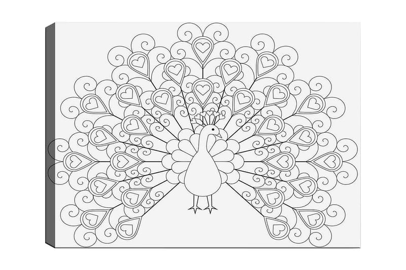 Dekorativ Canvasbilde 30x40 cm, Hvit|Svart